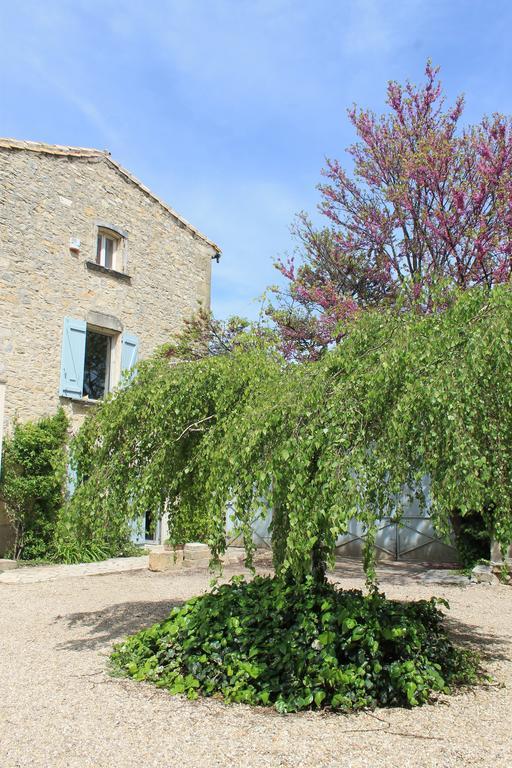 La Rose Bed & Breakfast Saint-Gervasy Dış mekan fotoğraf