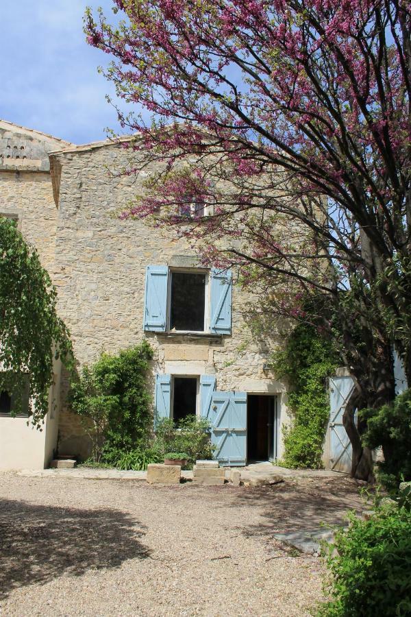 La Rose Bed & Breakfast Saint-Gervasy Dış mekan fotoğraf